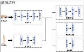 豬肉溯源系統(tǒng)軟件設(shè)計與開發(fā)解決方案 構(gòu)筑食品安全數(shù)字防線